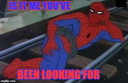 Sexy Railroad Spiderman | IS IT ME YOU'VE; BEEN LOOKING FOR | image tagged in memes,sexy railroad spiderman,spiderman | made w/ Imgflip meme maker