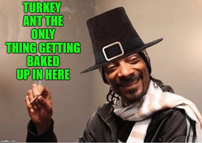 happy thanksgiving! | TURKEY ANT THE ONLY THING GETTING BAKED UP IN HERE | image tagged in snoop dogg,happy thanksgiving | made w/ Imgflip meme maker