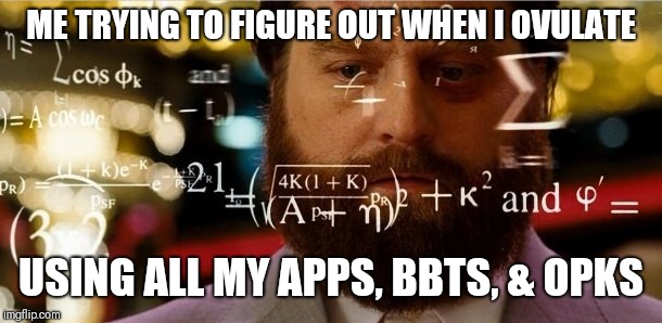 Hangover Allen | ME TRYING TO FIGURE OUT WHEN I OVULATE; USING ALL MY APPS, BBTS, & OPKS | image tagged in hangover allen | made w/ Imgflip meme maker