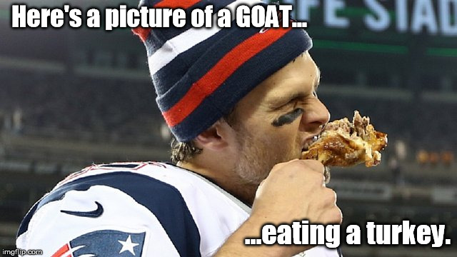 Here's a picture of a GOAT... ...eating a turkey. | made w/ Imgflip meme maker