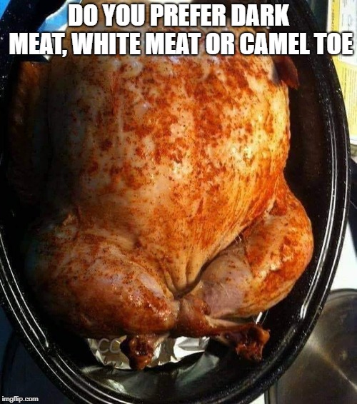 turkey day | DO YOU PREFER DARK MEAT, WHITE MEAT OR CAMEL TOE | image tagged in turkey,joke | made w/ Imgflip meme maker