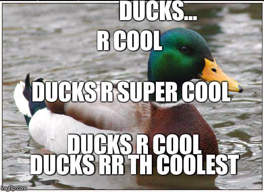 Actual Advice Mallard Meme | DUCKS... R COOL; DUCKS R SUPER COOL; DUCKS R COOL; DUCKS RR TH COOLEST | image tagged in memes,actual advice mallard | made w/ Imgflip meme maker