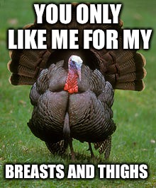 Breasts or thighs | YOU ONLY LIKE ME FOR MY; BREASTS AND THIGHS | image tagged in thanksgiving,turkey,funny memes | made w/ Imgflip meme maker