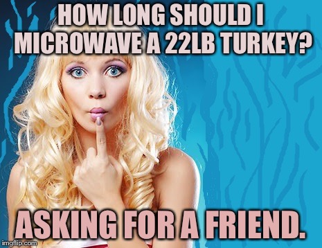 ditzy blonde | HOW LONG SHOULD I MICROWAVE A 22LB TURKEY? ASKING FOR A FRIEND. | image tagged in ditzy blonde | made w/ Imgflip meme maker