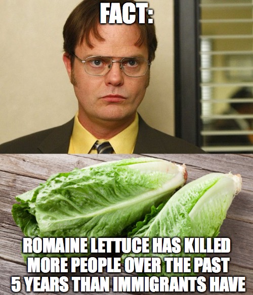 Romaine Lettuce | FACT:; ROMAINE LETTUCE HAS KILLED MORE PEOPLE OVER THE PAST 5 YEARS THAN IMMIGRANTS HAVE | image tagged in lettuce,the office,dwight schrute,facts,immigration | made w/ Imgflip meme maker