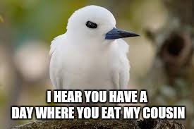 Happy Thanksgiving | I HEAR YOU HAVE A DAY WHERE YOU EAT MY COUSIN | image tagged in thanksgiving | made w/ Imgflip meme maker