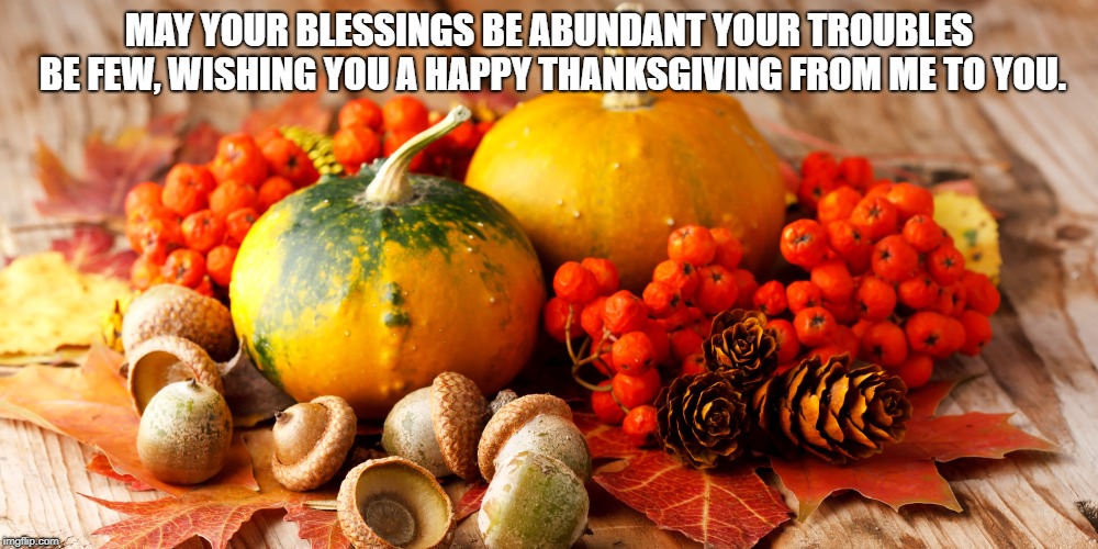 Thanksgiving blessings. | MAY YOUR BLESSINGS BE ABUNDANT
YOUR TROUBLES BE FEW,
WISHING YOU A HAPPY THANKSGIVING
FROM ME TO YOU. | image tagged in thanksgiving | made w/ Imgflip meme maker