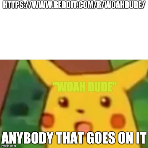 r/woahdude | HTTPS://WWW.REDDIT.COM/R/WOAHDUDE/; "WOAH DUDE"; ANYBODY THAT GOES ON IT | image tagged in memes,surprised pikachu | made w/ Imgflip meme maker