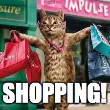 Cat shopping | SHOPPING! | image tagged in cat shopping | made w/ Imgflip meme maker