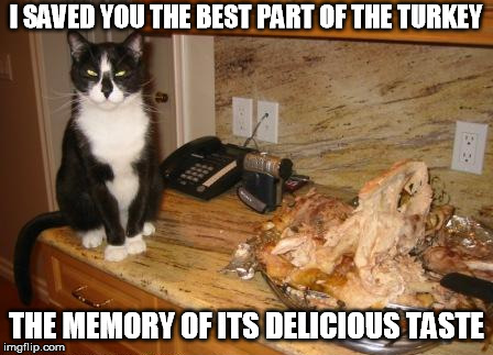And just like that ''poof'' turkey gone | I SAVED YOU THE BEST PART OF THE TURKEY; THE MEMORY OF ITS DELICIOUS TASTE | image tagged in happy thanksgiving,cat memes,delicious | made w/ Imgflip meme maker