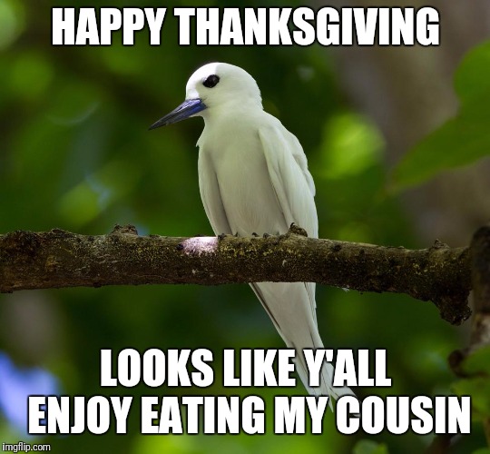 Happy Thanksgiving | HAPPY THANKSGIVING; LOOKS LIKE Y'ALL ENJOY EATING MY COUSIN | image tagged in thanksgiving | made w/ Imgflip meme maker