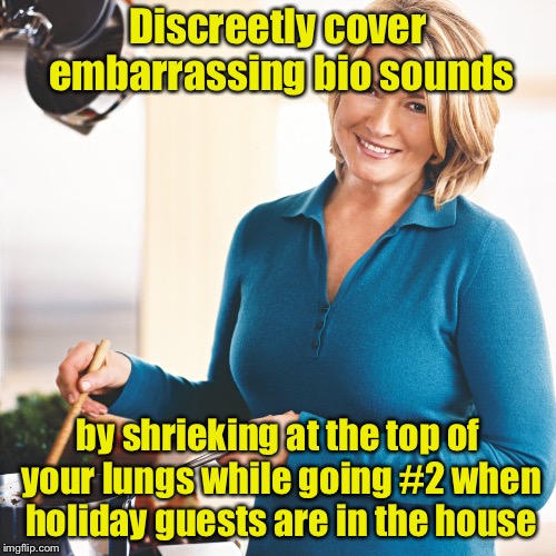 Modern life hack #5 | Discreetly cover embarrassing bio sounds; by shrieking at the top of your lungs while going #2 when holiday guests are in the house | image tagged in martha stewart problems,memes,life hack | made w/ Imgflip meme maker