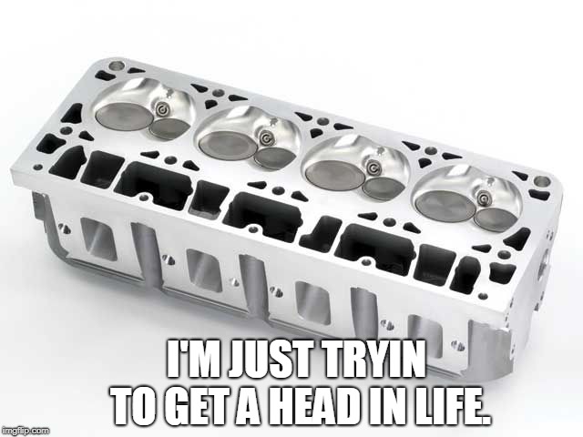 tryin to get a head | I'M JUST TRYIN TO GET A HEAD IN LIFE. | image tagged in motor,engine,heads,life | made w/ Imgflip meme maker