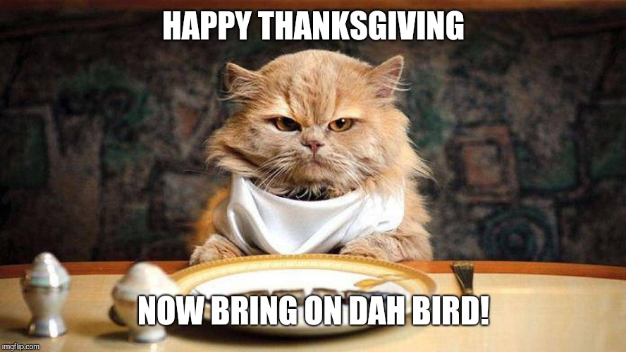 Happy Thanksgiving 2018! | HAPPY THANKSGIVING; NOW BRING ON DAH BIRD! | image tagged in happy thanksgiving,cats | made w/ Imgflip meme maker