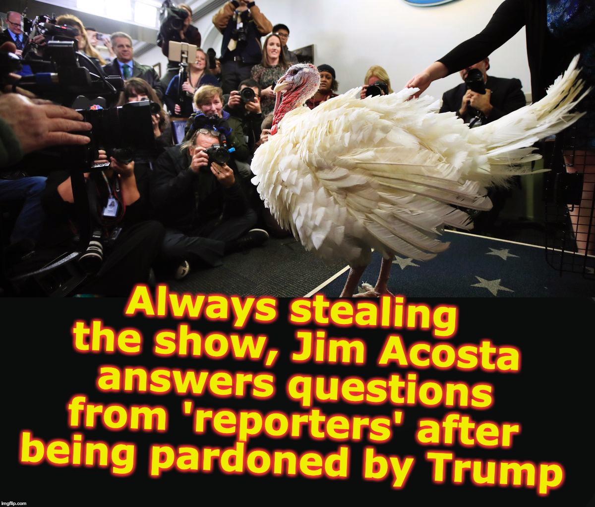 Always stealing the show, Jim Acosta answers questions from 'reporters' after being pardoned by Trump | image tagged in jim acosta,turkeys | made w/ Imgflip meme maker