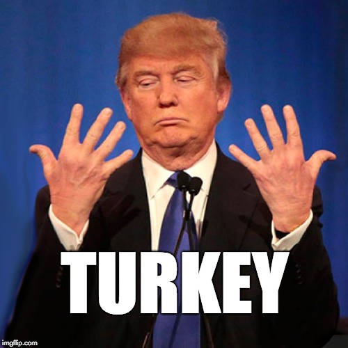 Trump hands | TURKEY | image tagged in trump hands | made w/ Imgflip meme maker