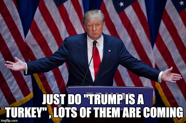 Donald Trump | JUST DO "TRUMP IS A TURKEY" , LOTS OF THEM ARE COMING | image tagged in donald trump | made w/ Imgflip meme maker