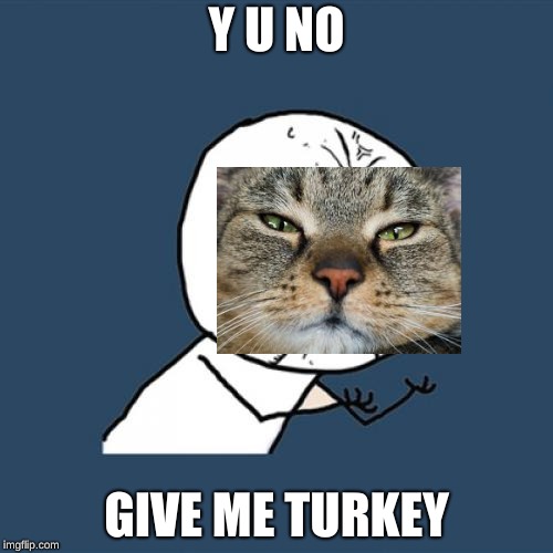 Y U No Meme | Y U NO; GIVE ME TURKEY | image tagged in memes,y u no | made w/ Imgflip meme maker