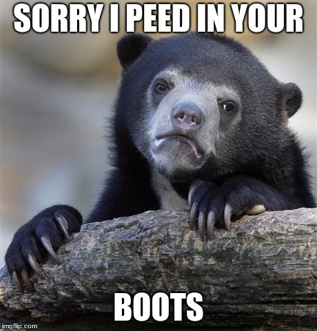 Confession Bear | SORRY I PEED IN YOUR; BOOTS | image tagged in memes,confession bear | made w/ Imgflip meme maker