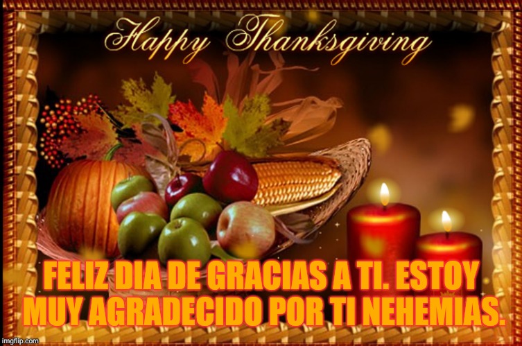 Happy Thanksgiving Nehemias | FELIZ DIA DE GRACIAS A TI.
ESTOY MUY AGRADECIDO POR TI NEHEMIAS. | image tagged in holidays | made w/ Imgflip meme maker