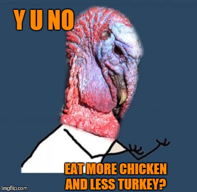 Y U NOvember Thanksgiving | Y U NO; EAT MORE CHICKEN AND LESS TURKEY? | image tagged in memes,funny,y u no,turkey,thanksgiving,y u november | made w/ Imgflip meme maker