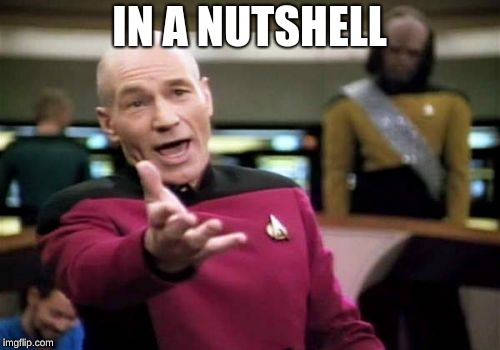 Picard Wtf Meme | IN A NUTSHELL | image tagged in memes,picard wtf | made w/ Imgflip meme maker