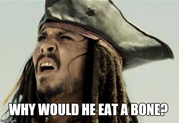 confused dafuq jack sparrow what | WHY WOULD HE EAT A BONE? | image tagged in confused dafuq jack sparrow what | made w/ Imgflip meme maker