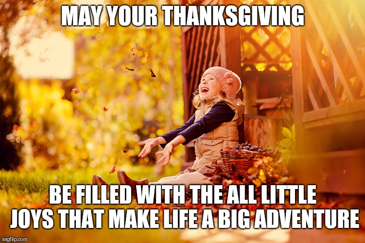 MAY YOUR THANKSGIVING; BE FILLED WITH THE ALL LITTLE JOYS THAT MAKE LIFE A BIG ADVENTURE | image tagged in have a happy one,thanksgiving | made w/ Imgflip meme maker