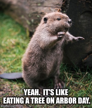 Beaver | YEAH.  IT'S LIKE EATING A TREE ON ARBOR DAY. | image tagged in beaver | made w/ Imgflip meme maker