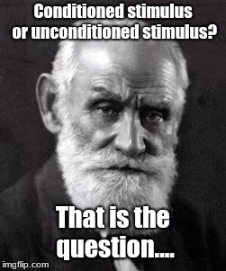 Ivan Pavlov | Conditioned stimulus or unconditioned stimulus? That is the question.... | image tagged in ivan pavlov | made w/ Imgflip meme maker