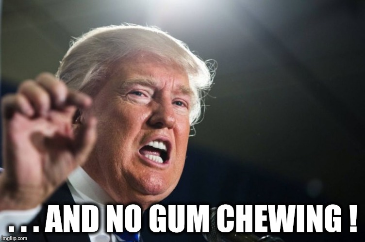 donald trump | . . . AND NO GUM CHEWING ! | image tagged in donald trump | made w/ Imgflip meme maker