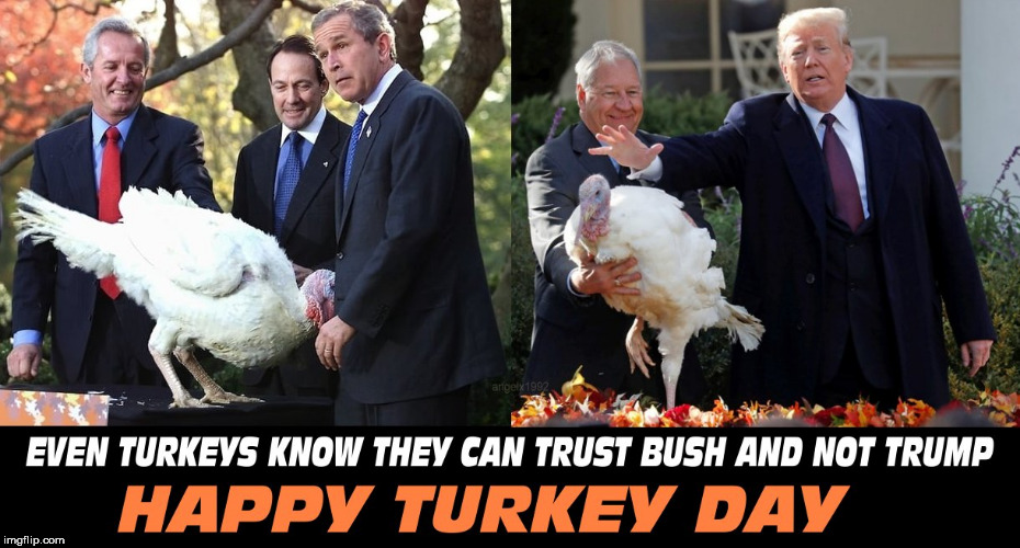 image tagged in turkey,turkey day,thanksgiving,happy thanksgiving,trump,bush | made w/ Imgflip meme maker