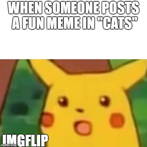 Surprised Pikachu | WHEN SOMEONE POSTS A FUN MEME IN "CATS"; IMGFLIP | image tagged in memes,surprised pikachu | made w/ Imgflip meme maker