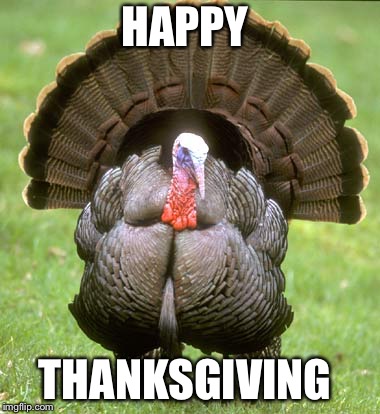 Turkey Meme | HAPPY; THANKSGIVING | image tagged in memes,turkey | made w/ Imgflip meme maker