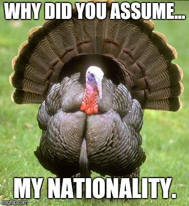 Turkey | WHY DID YOU ASSUME... MY NATIONALITY. | image tagged in memes,turkey,funny,thanksgiving | made w/ Imgflip meme maker
