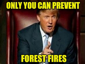 Y'all Dont Forget To Rake Them Leaves |  ONLY YOU CAN PREVENT; FOREST FIRES | image tagged in donald trump | made w/ Imgflip meme maker