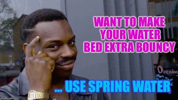 Roll Safe Think About It | WANT TO MAKE YOUR WATER BED EXTRA BOUNCY; ... USE SPRING WATER | image tagged in memes,roll safe think about it | made w/ Imgflip meme maker