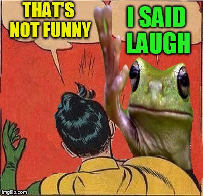 Frog Slapping Robin | THAT'S NOT FUNNY I SAID LAUGH | image tagged in frog slapping robin | made w/ Imgflip meme maker