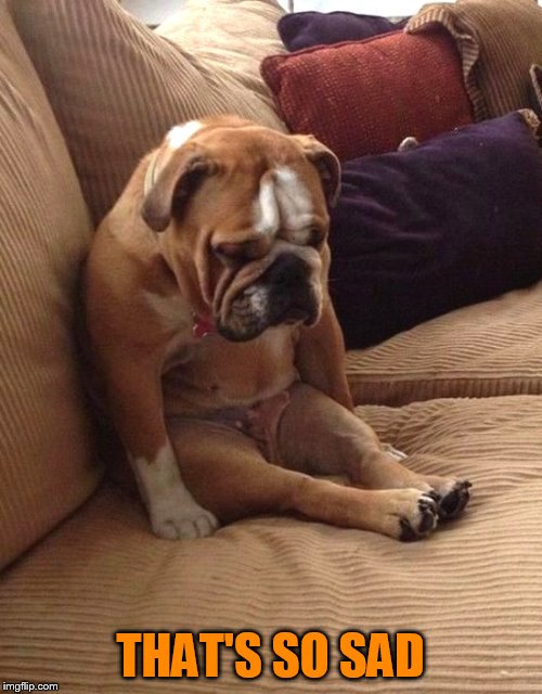 Sad bulldog | THAT'S SO SAD | image tagged in sad bulldog | made w/ Imgflip meme maker