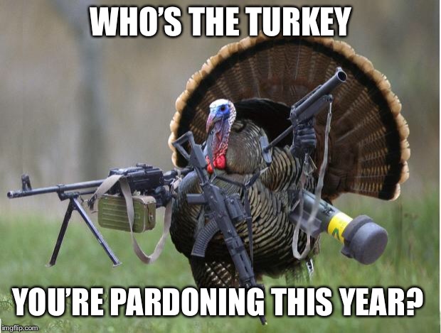 turkey | WHO’S THE TURKEY; YOU’RE PARDONING THIS YEAR? | image tagged in turkey | made w/ Imgflip meme maker