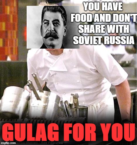 Gulag For You | YOU HAVE FOOD AND DON'T SHARE WITH SOVIET RUSSIA; GULAG FOR YOU | image tagged in memes,chef gordon ramsay,communism | made w/ Imgflip meme maker