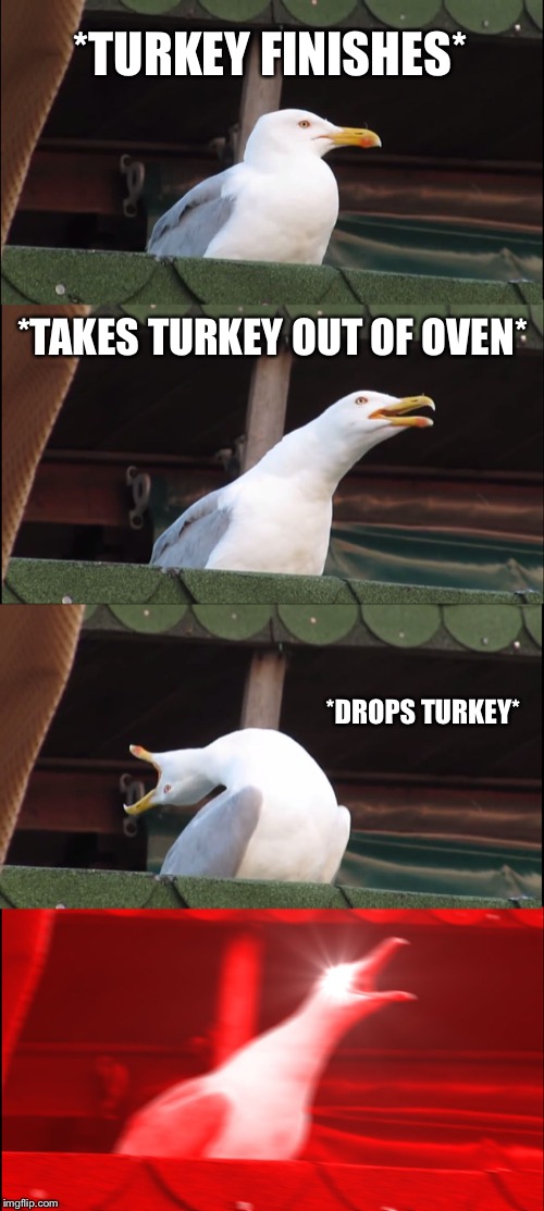 Inhaling Seagull Meme | *TURKEY FINISHES*; *TAKES TURKEY OUT OF OVEN*; *DROPS TURKEY* | image tagged in memes,inhaling seagull | made w/ Imgflip meme maker