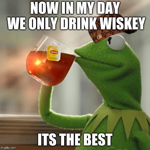 But That's None Of My Business Meme | NOW IN MY DAY WE ONLY DRINK WISKEY; ITS THE BEST | image tagged in memes,but thats none of my business,kermit the frog,scumbag | made w/ Imgflip meme maker