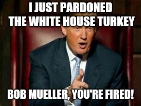 Donald Trump | I JUST PARDONED THE WHITE HOUSE TURKEY; BOB MUELLER, YOU'RE FIRED! | image tagged in donald trump | made w/ Imgflip meme maker