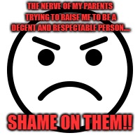 For people who need to be thankful! | THE NERVE OF MY PARENTS TRYING TO RAISE ME TO BE A DECENT AND RESPECTABLE PERSON.... SHAME ON THEM!! | image tagged in children,parents,wisdom,life lessons,sarcasm,dogs | made w/ Imgflip meme maker