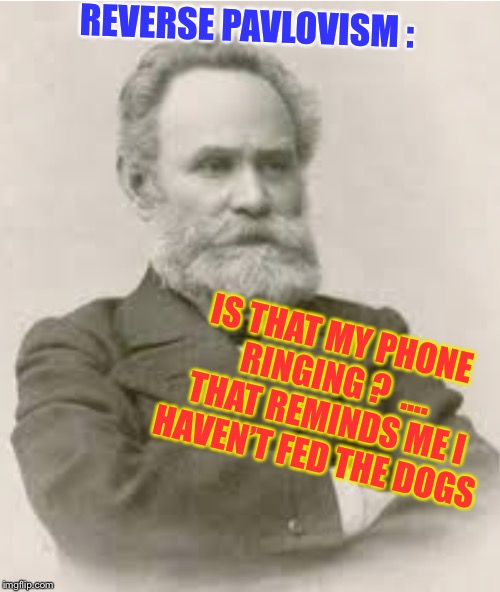REVERSE PAVLOVISM : IS THAT MY PHONE RINGING ?  .... THAT REMINDS ME I HAVEN’T FED THE DOGS | made w/ Imgflip meme maker