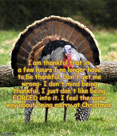 Thanksgiving | I am thankful that in a few hours I no longer have to be thankful. Don't get me wrong- I don't mind being thankful, I just don't like being FORCED into it. I feel the same way about being merry at Christmas. | image tagged in thanksgiving day,thankful | made w/ Imgflip meme maker