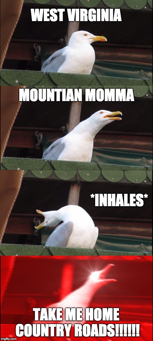 Inhaling Seagull Meme | WEST VIRGINIA; MOUNTIAN MOMMA; *INHALES*; TAKE ME HOME COUNTRY ROADS!!!!!! | image tagged in memes,inhaling seagull | made w/ Imgflip meme maker