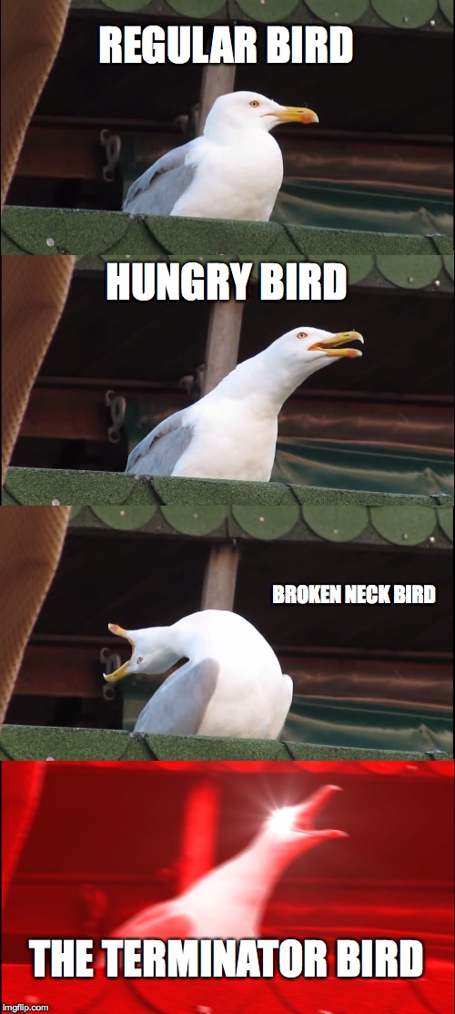 Inhaling Seagull Meme | REGULAR BIRD; HUNGRY BIRD; BROKEN NECK BIRD; THE TERMINATOR BIRD | image tagged in memes,inhaling seagull | made w/ Imgflip meme maker