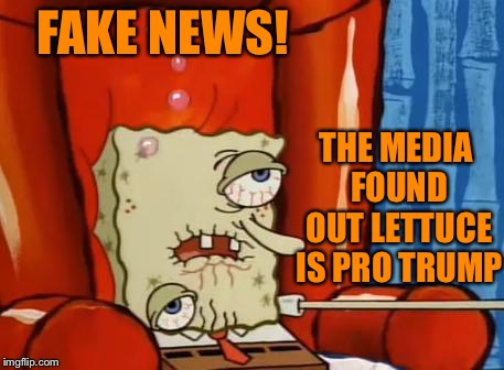 sick spongebob | FAKE NEWS! THE MEDIA FOUND OUT LETTUCE IS PRO TRUMP | image tagged in sick spongebob | made w/ Imgflip meme maker